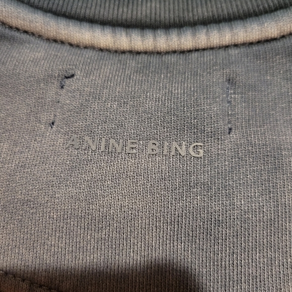 Anine Bing Jaci Sweatshirt Hamburg is a Myth XS NWT - Picture 8 of 8